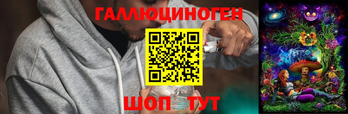 Галлюциногенные грибы Psilocybine cubensis Красноармейск